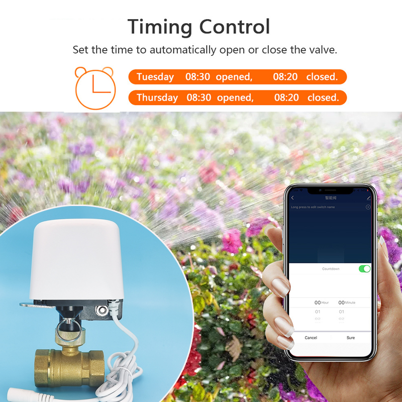 Válvula de Água Tuya Zigbee Wi - Home Assistant Tuya avaliação e preço